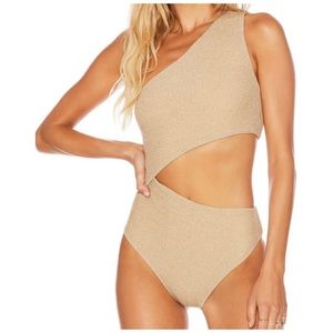 Beach Riot Celine Shine One-Piece Swimsuit